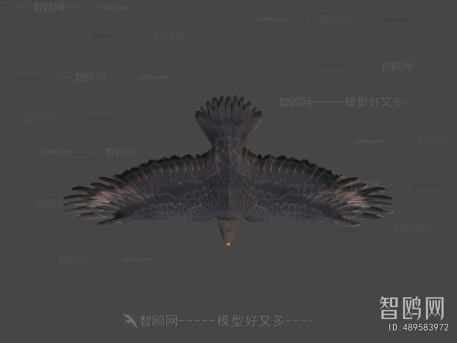 Modern Flying Animals