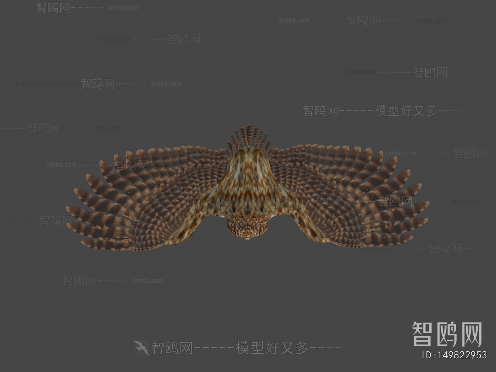 Modern Animal