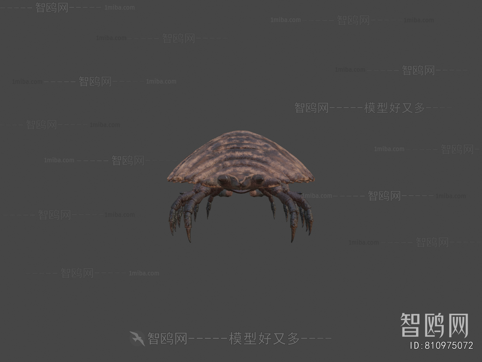 Modern Animal