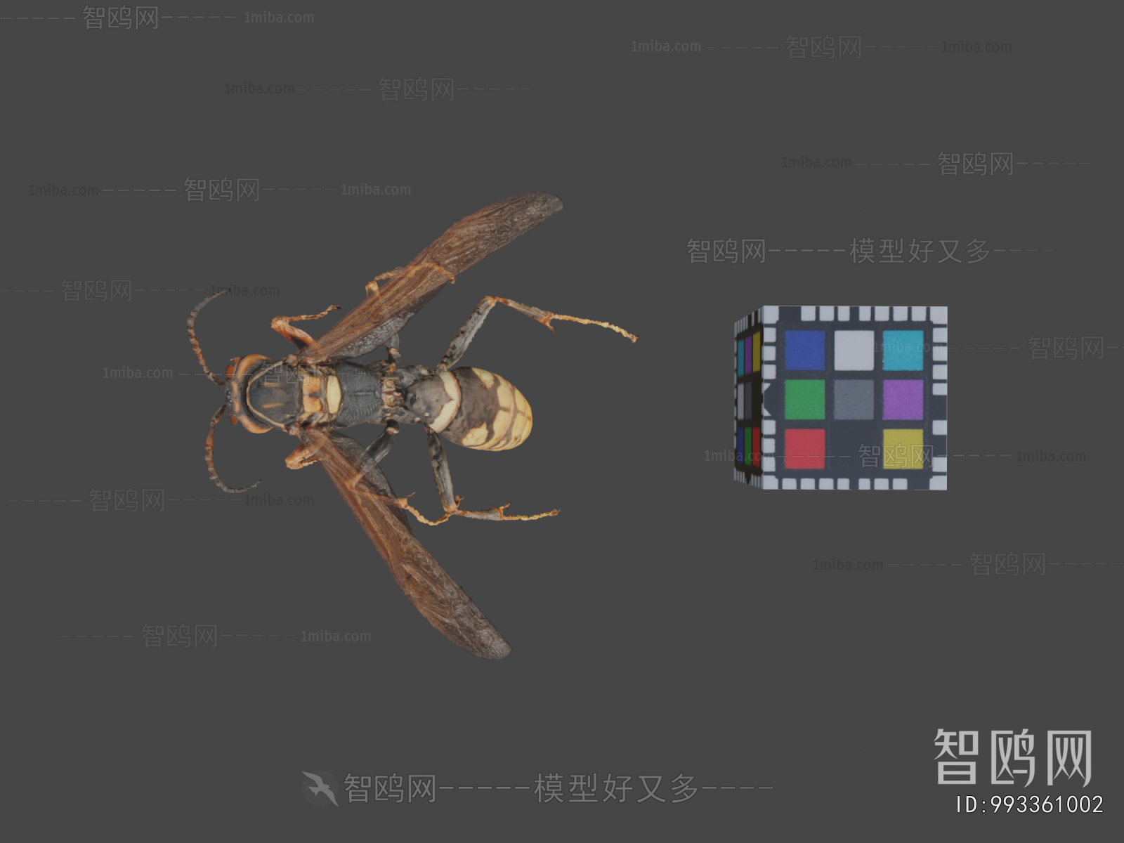 Modern Animal