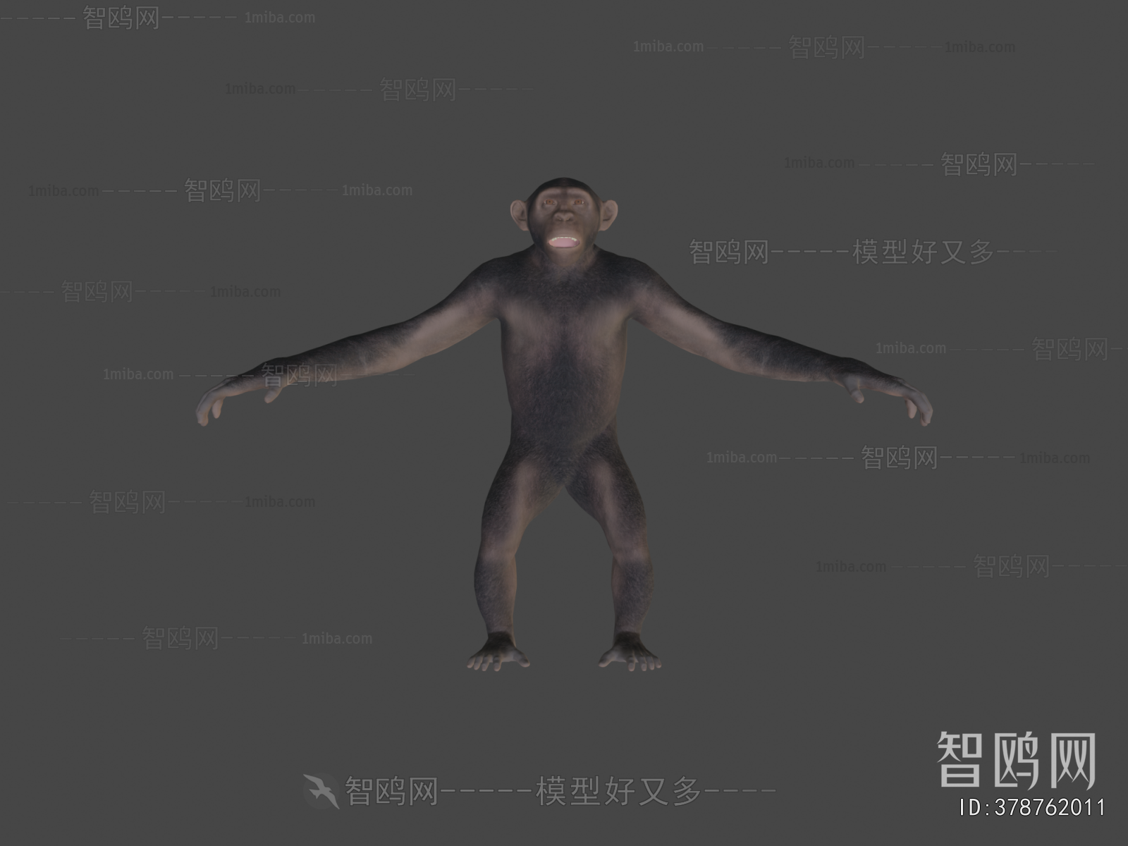 Modern Mammal