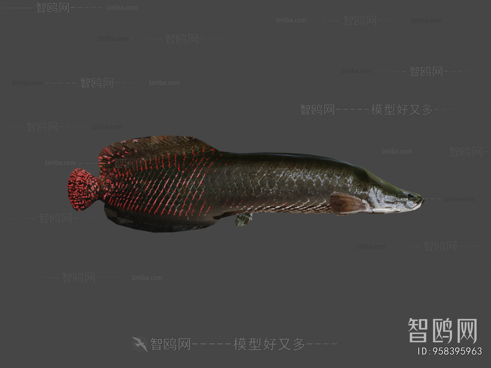 Modern Aquatic Animals