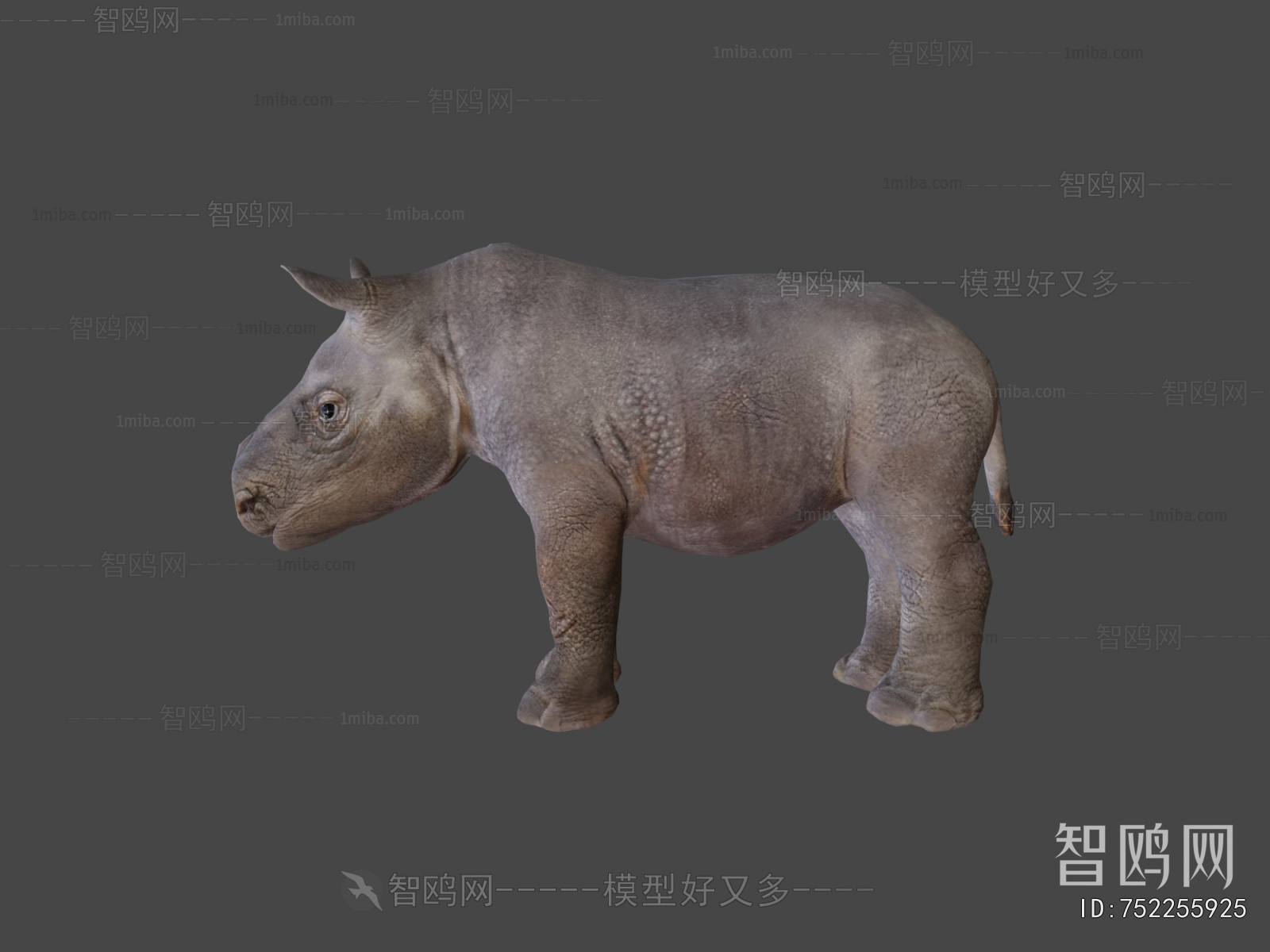 Modern Animal