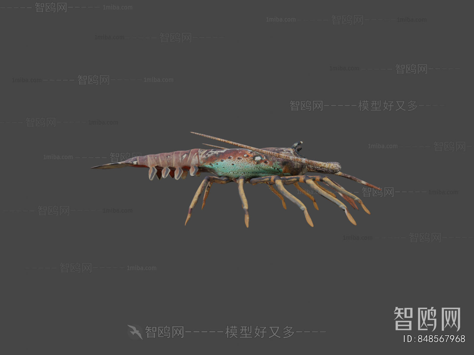 Modern Animal