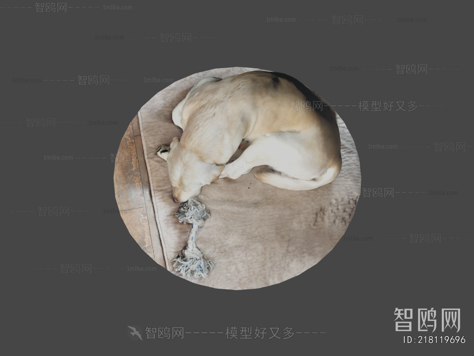 Modern Animal Dog