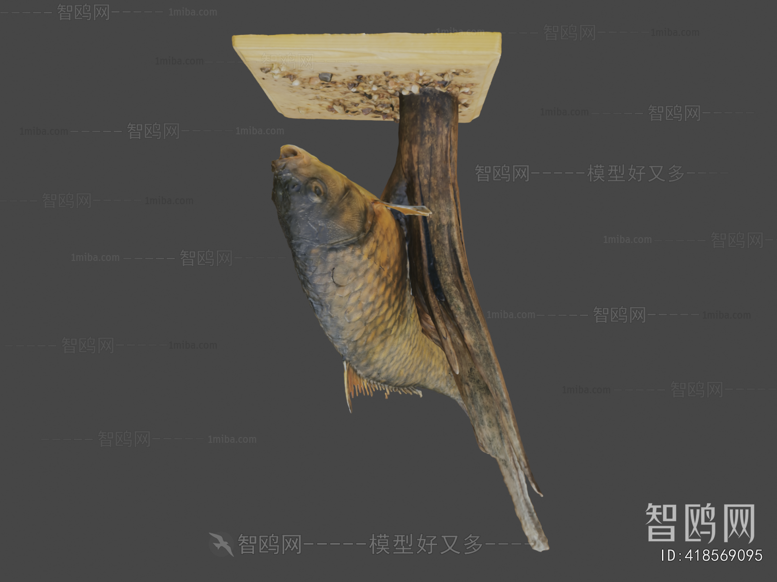 Modern Aquatic Animals