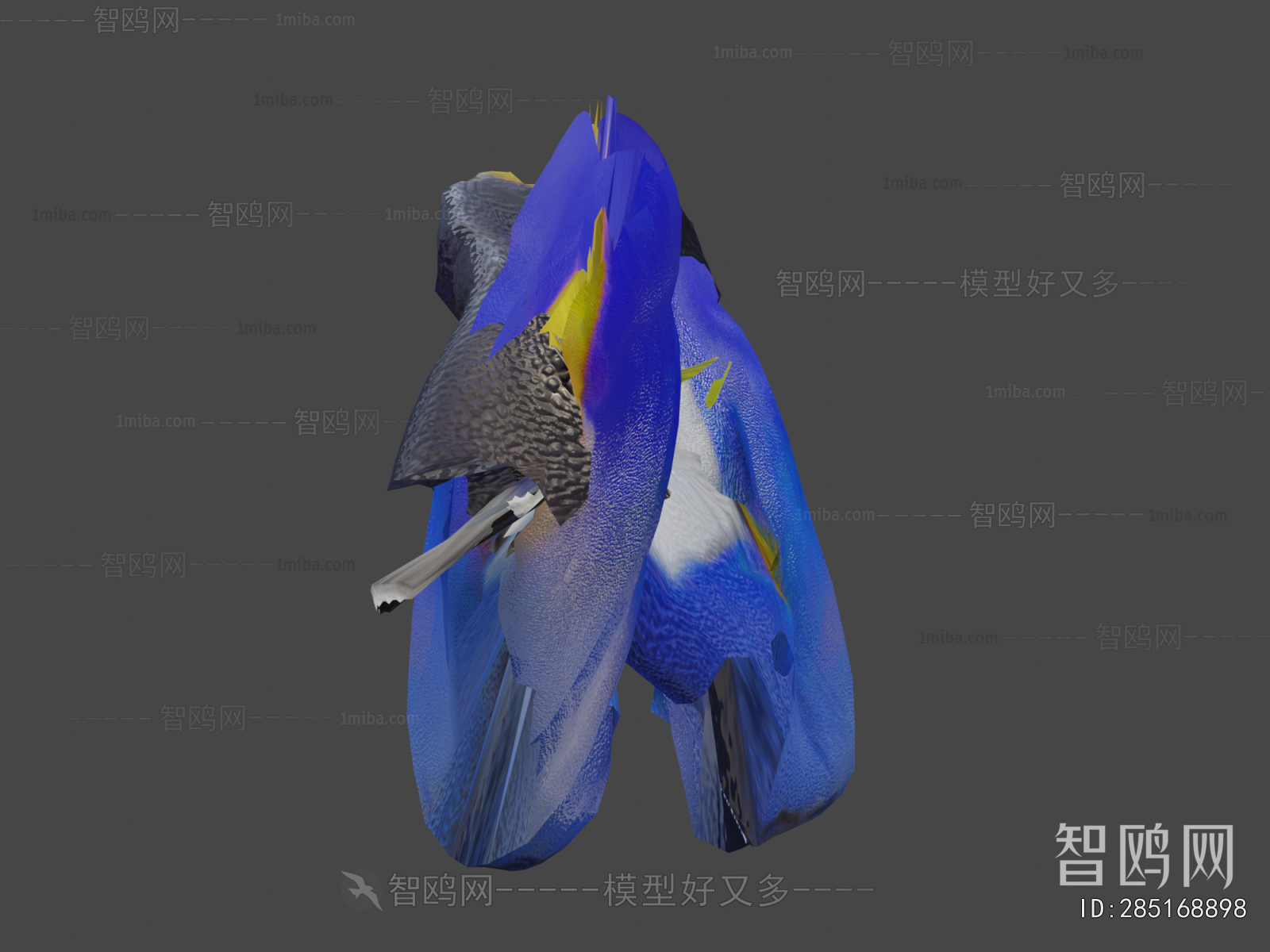 Modern Aquatic Animals