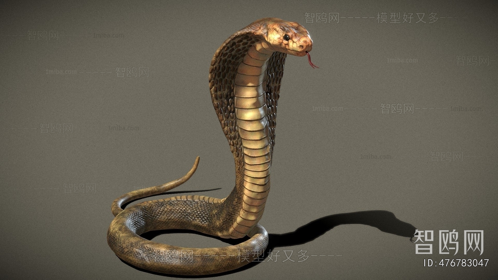 Modern Reptile