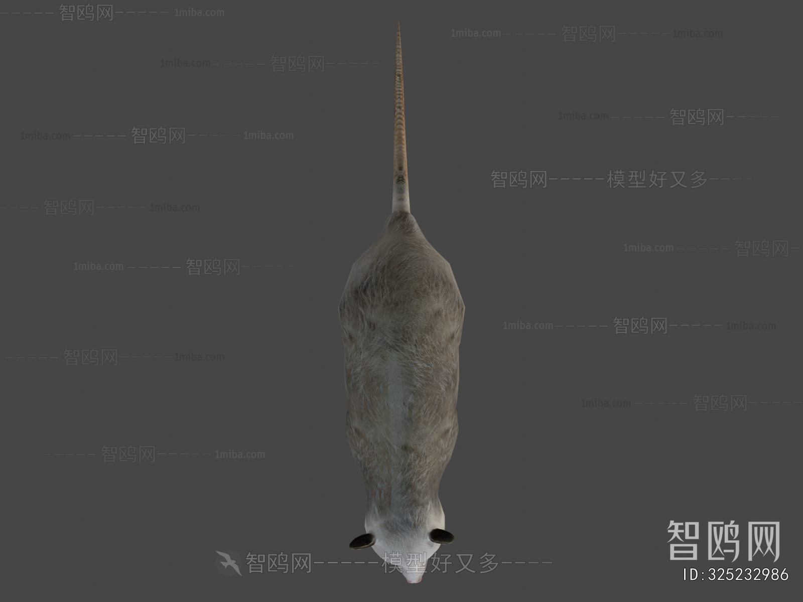 Modern Mammal