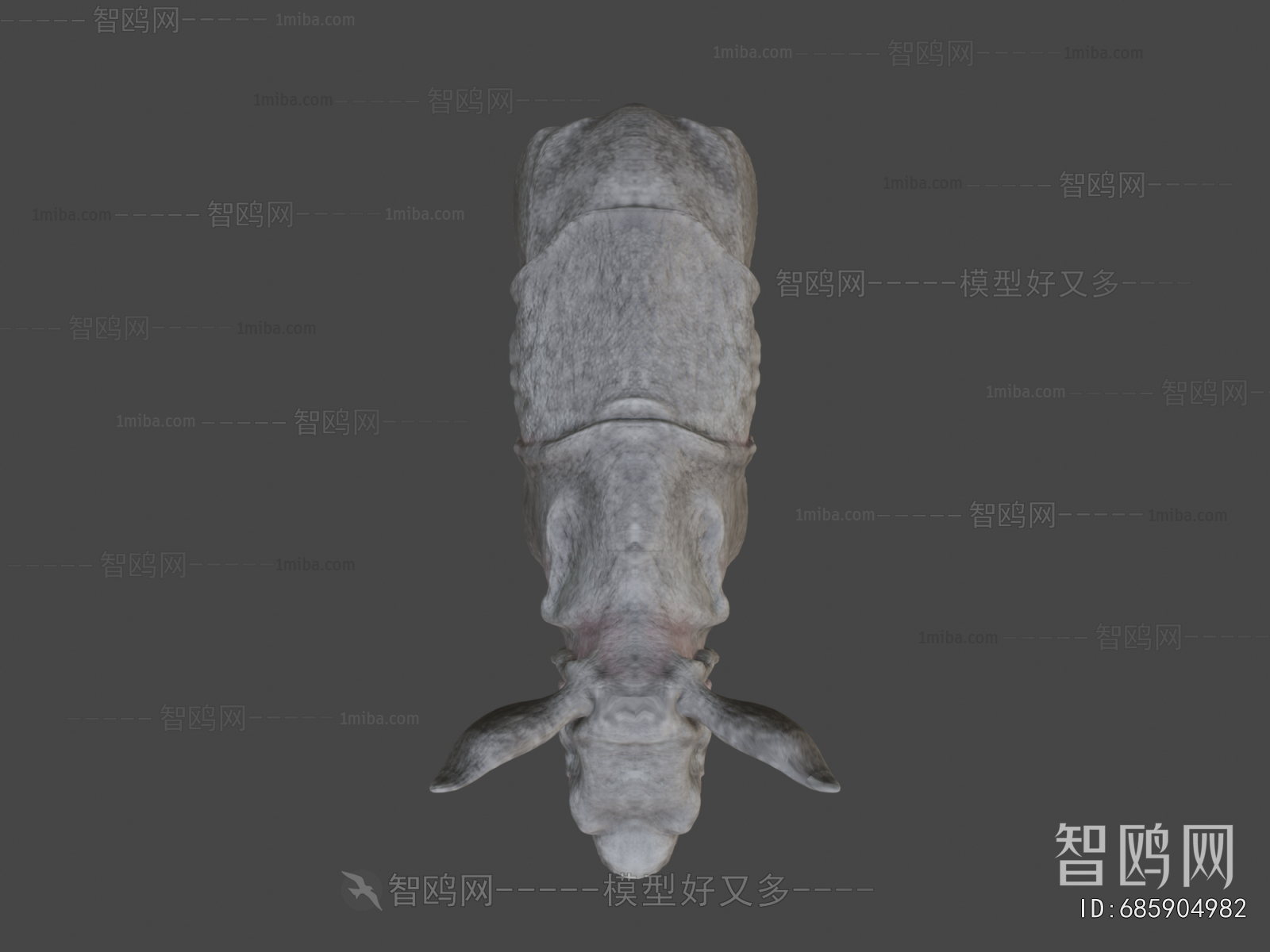Modern Mammal