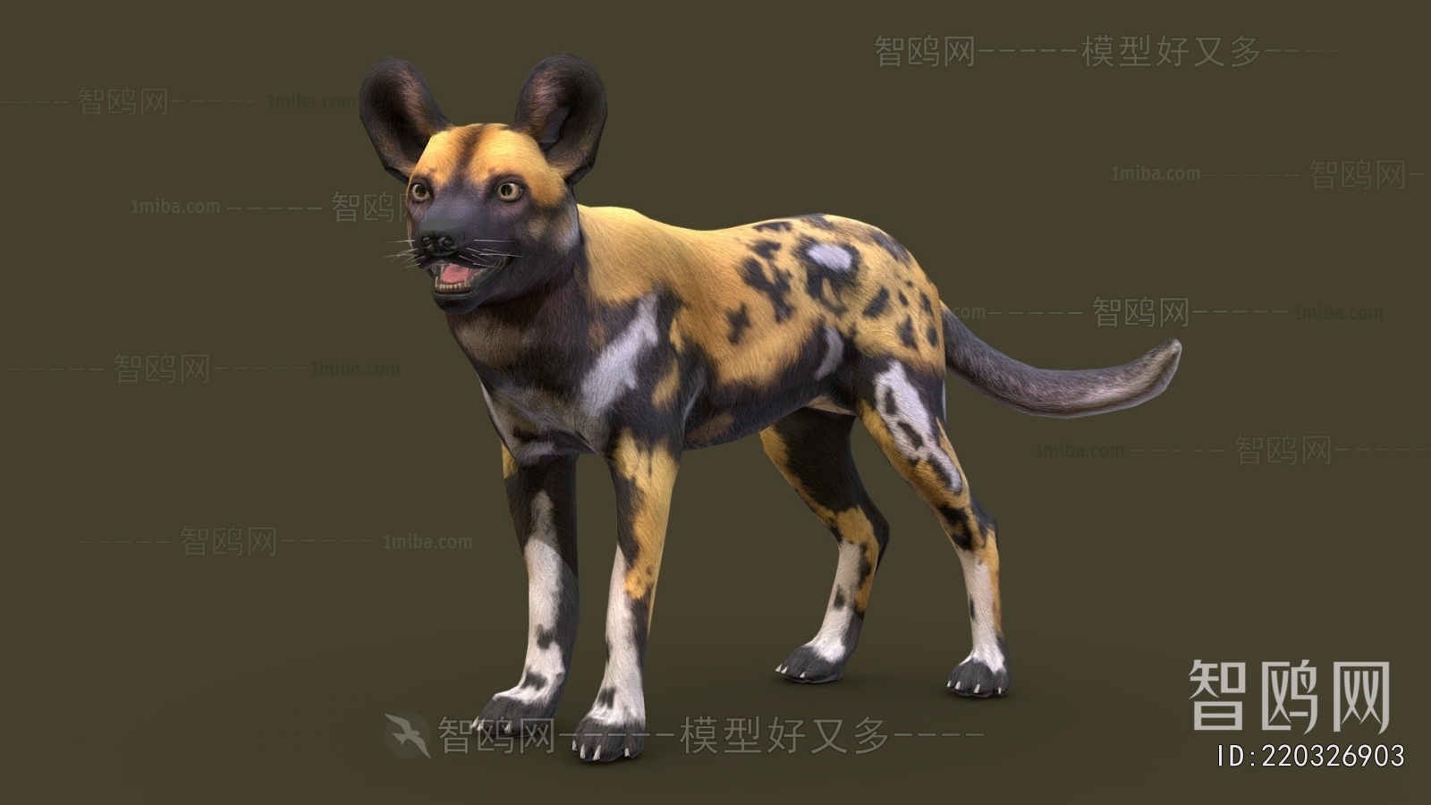 Modern Mammal