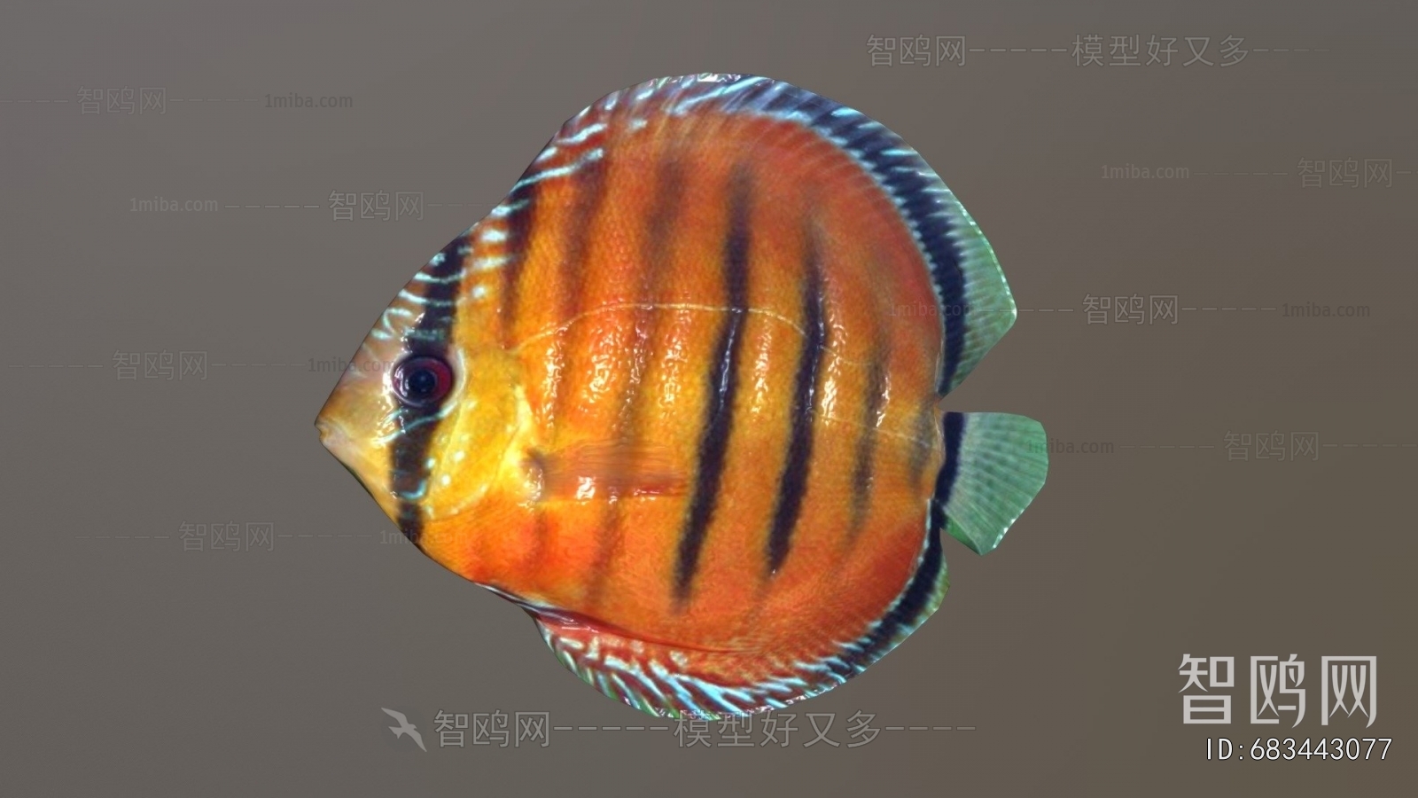 Modern Aquatic Animals