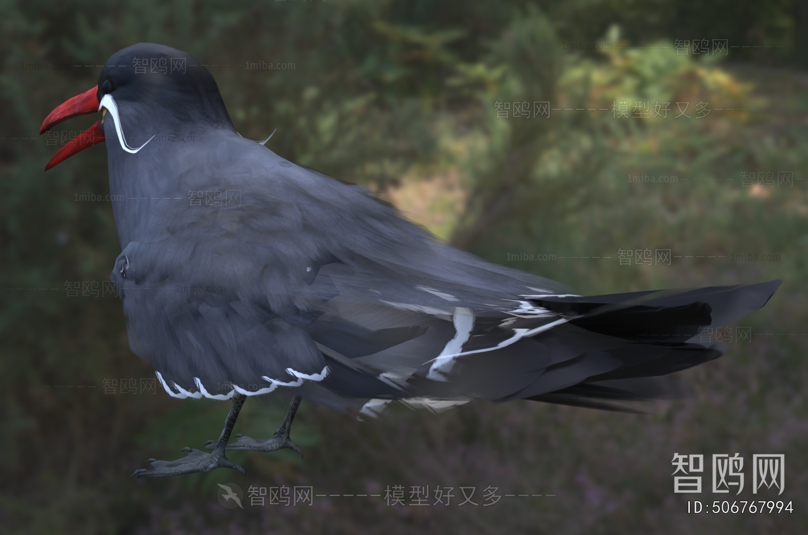 Modern Flying Animals