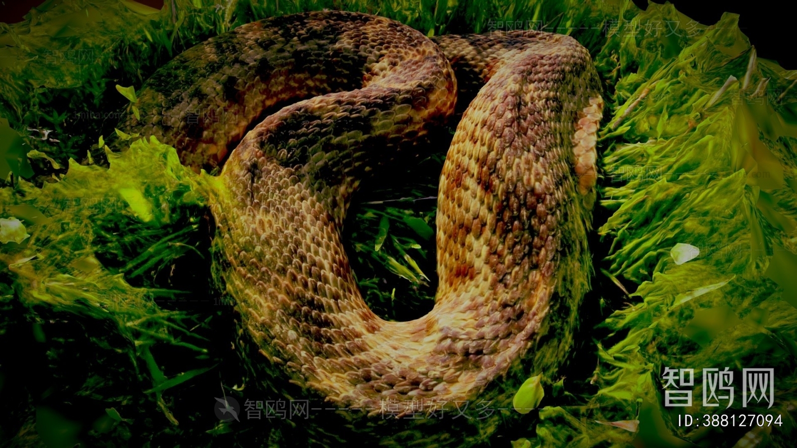 Modern Reptile