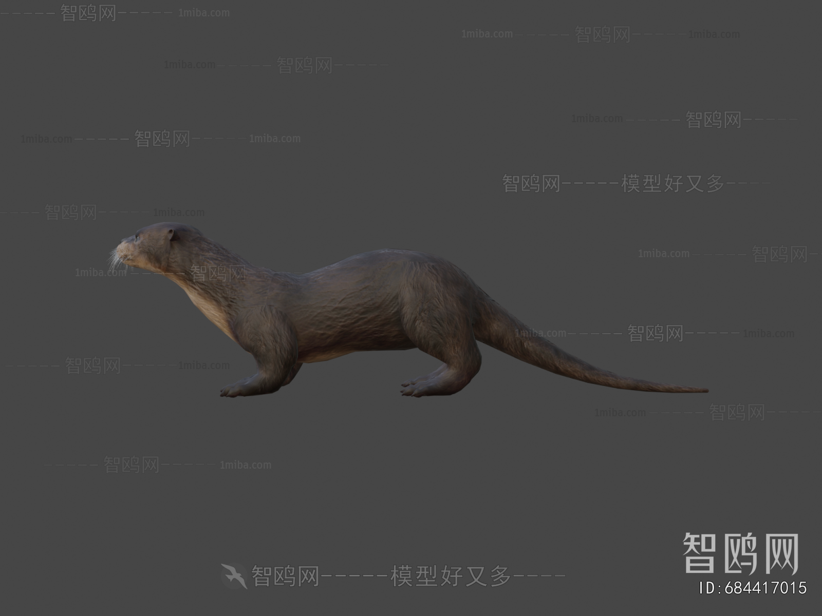 Modern Animal