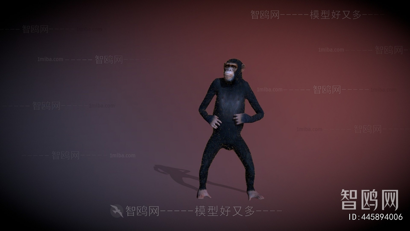 Modern Animal