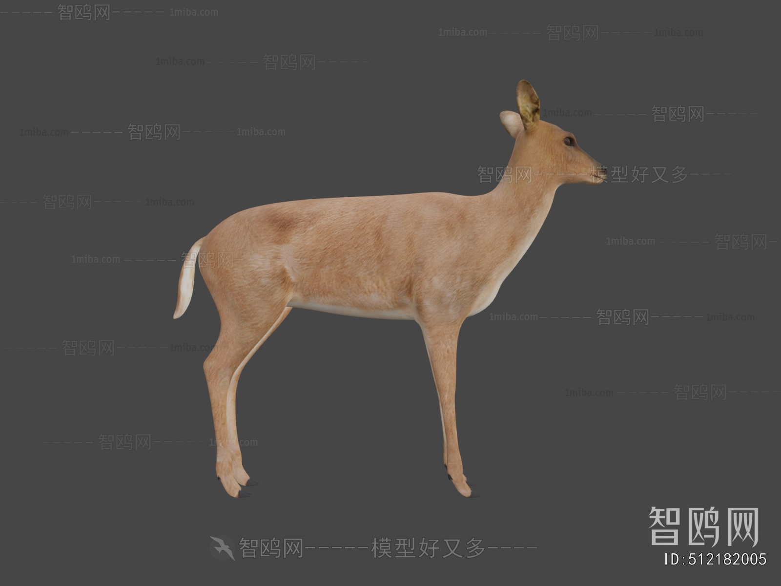Modern Mammal