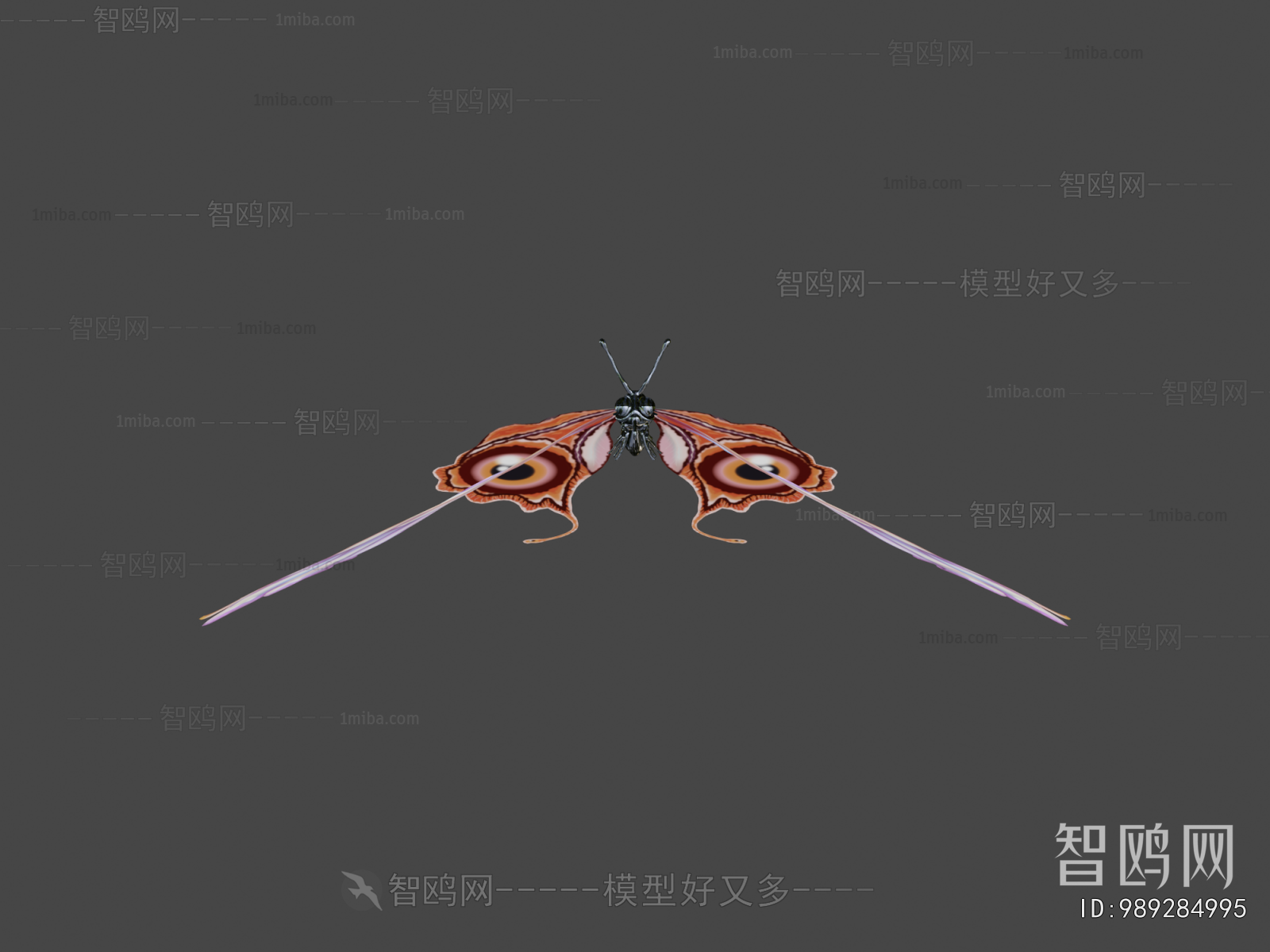 Modern Animal