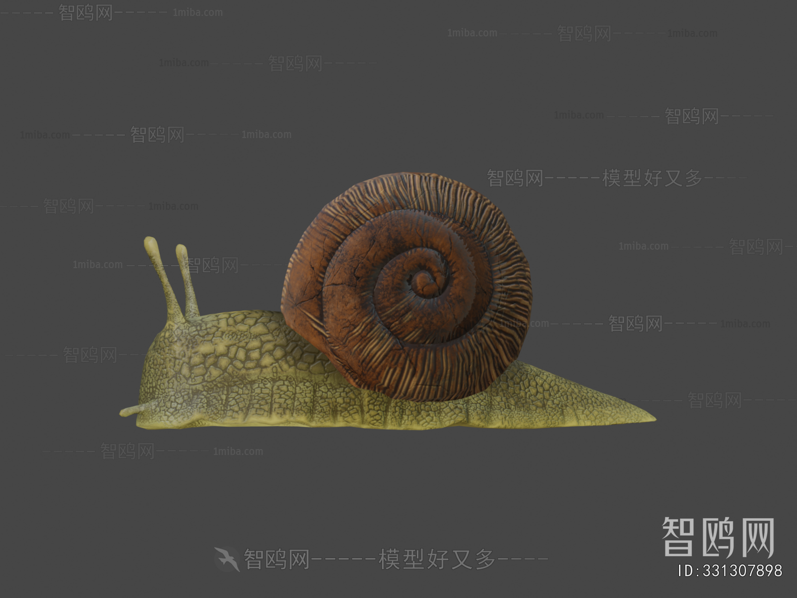 Modern Reptile