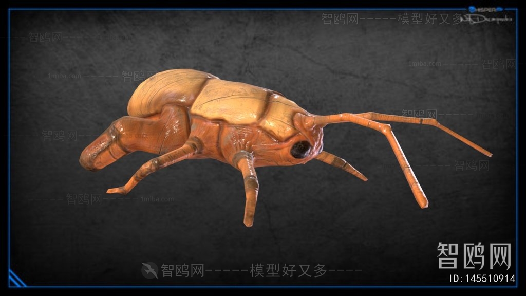 Modern Animal
