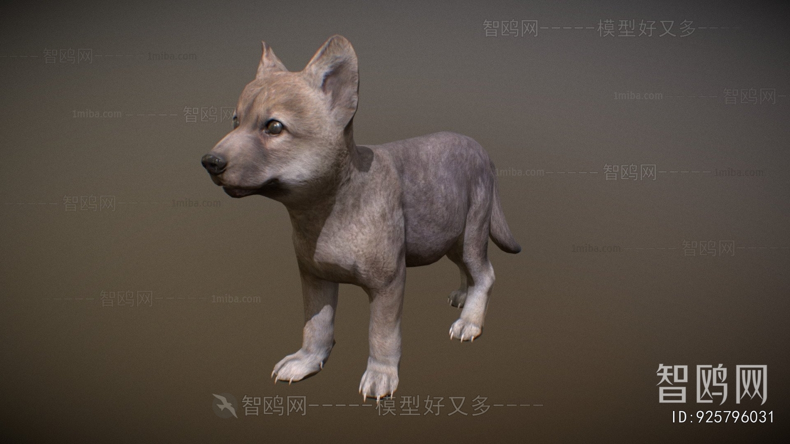 Modern Mammal