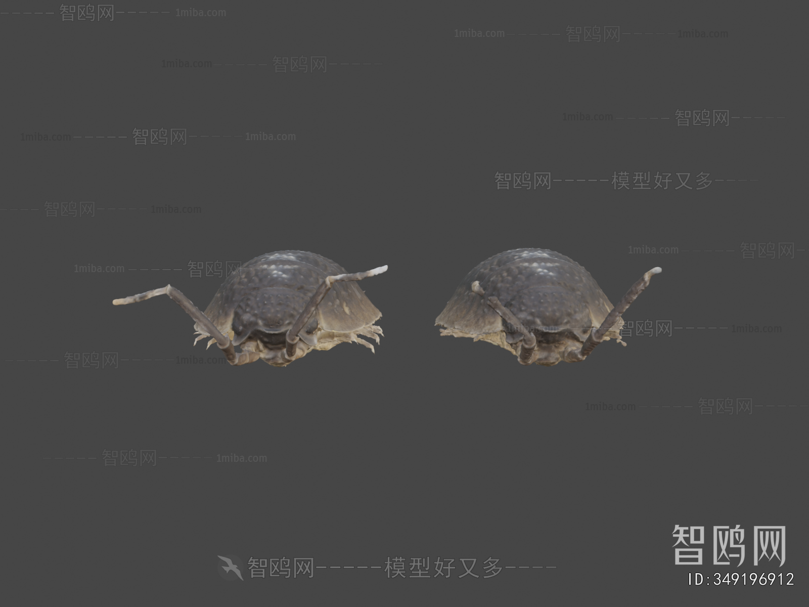 Modern Animal