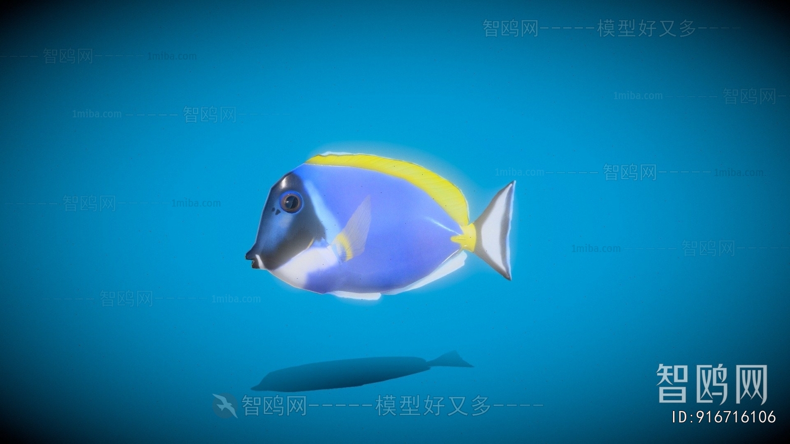 Modern Animal