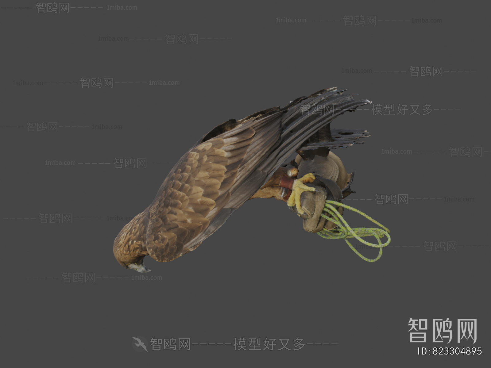 Modern Animal