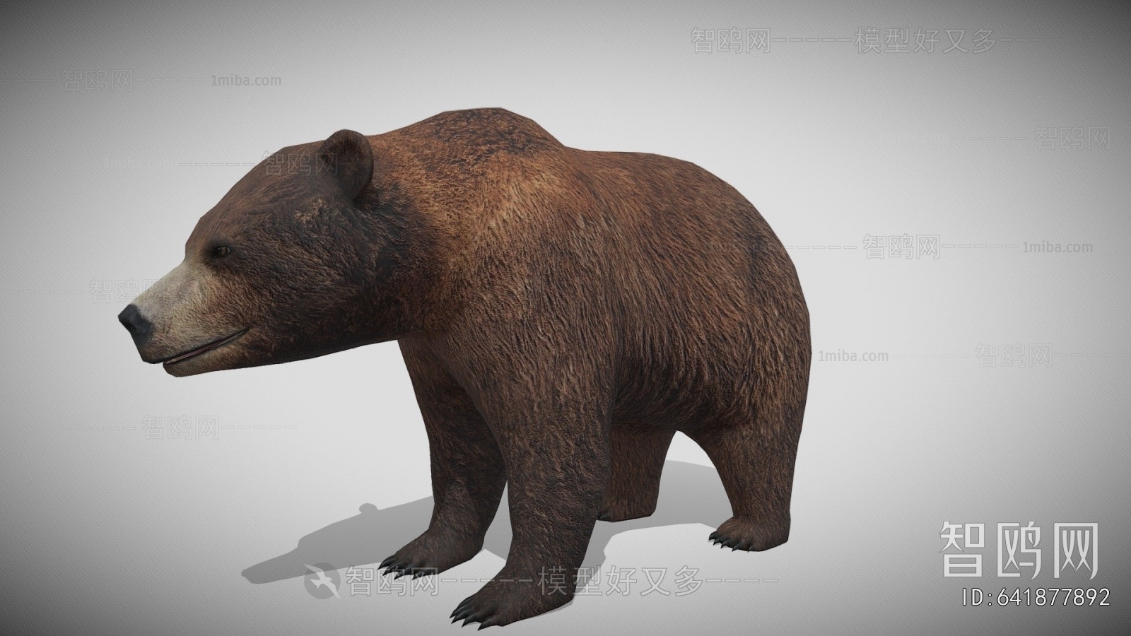 Modern Mammal