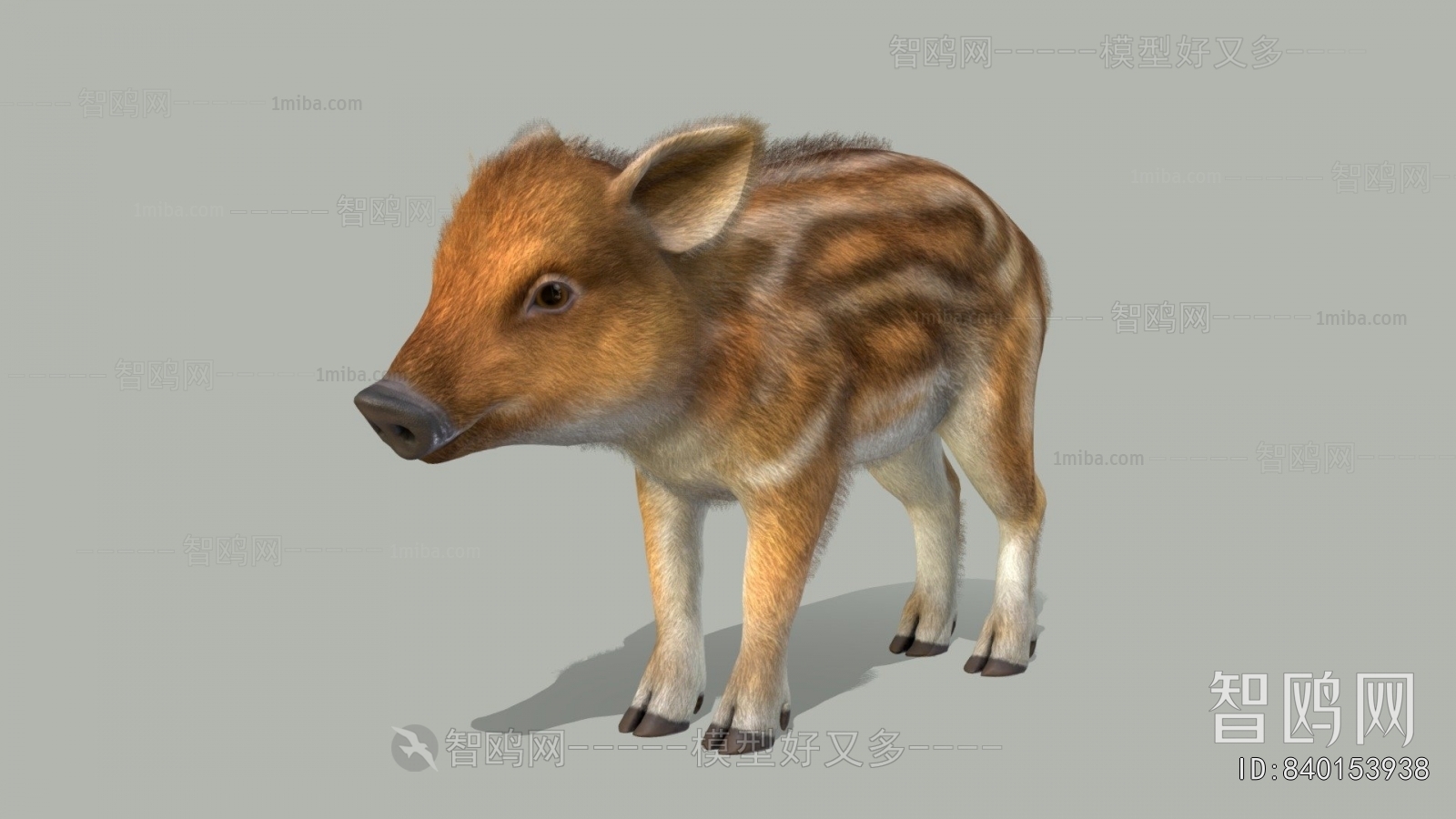 Modern Mammal