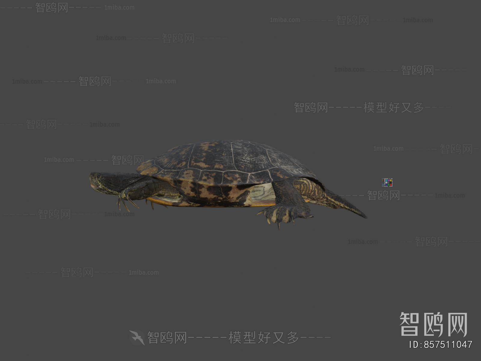 Modern Reptile
