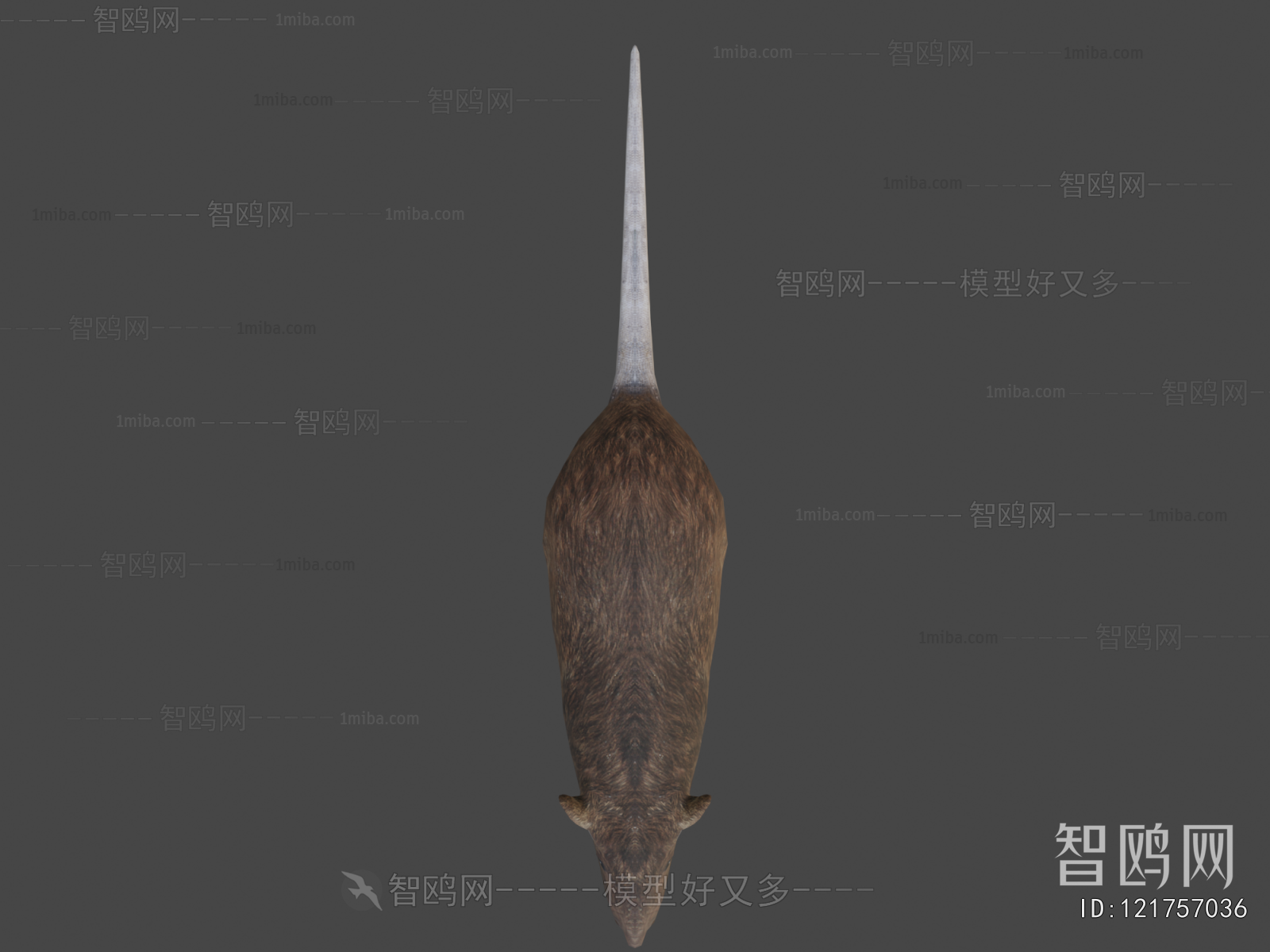Modern Mammal