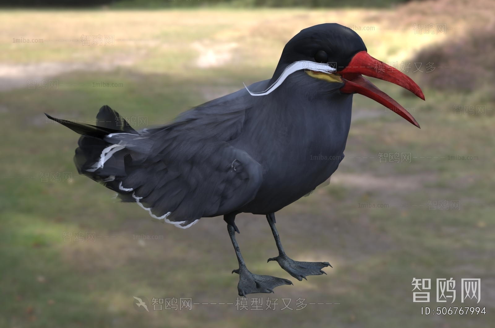 Modern Flying Animals