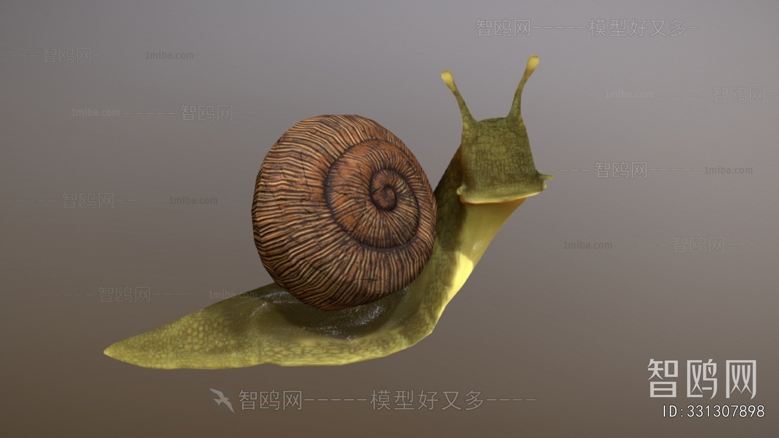 Modern Reptile