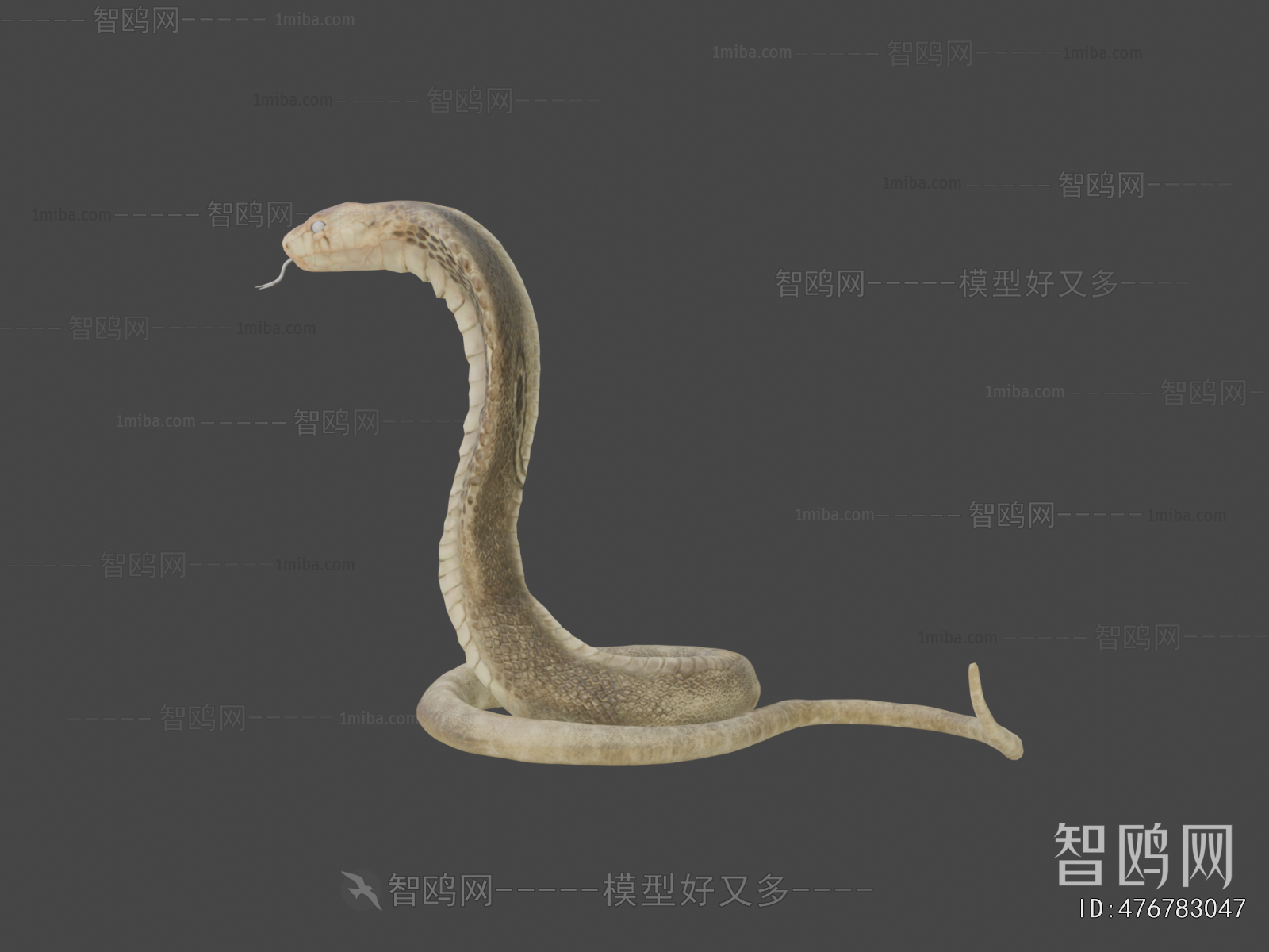 Modern Reptile