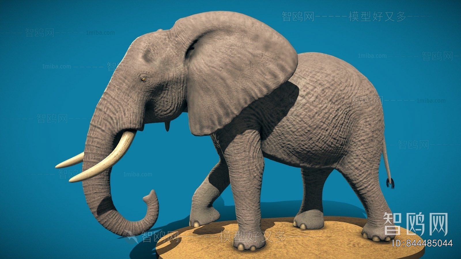 Modern Mammal