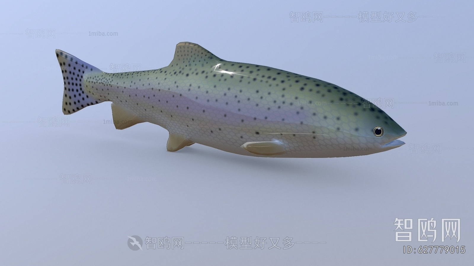 Modern Aquatic Animals