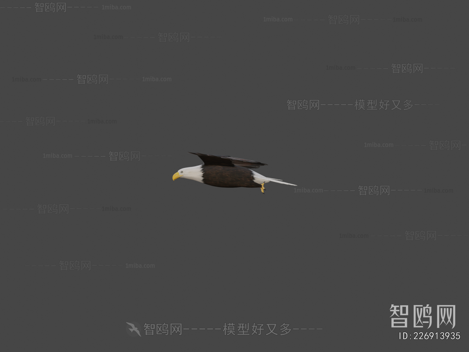 Modern Flying Animals