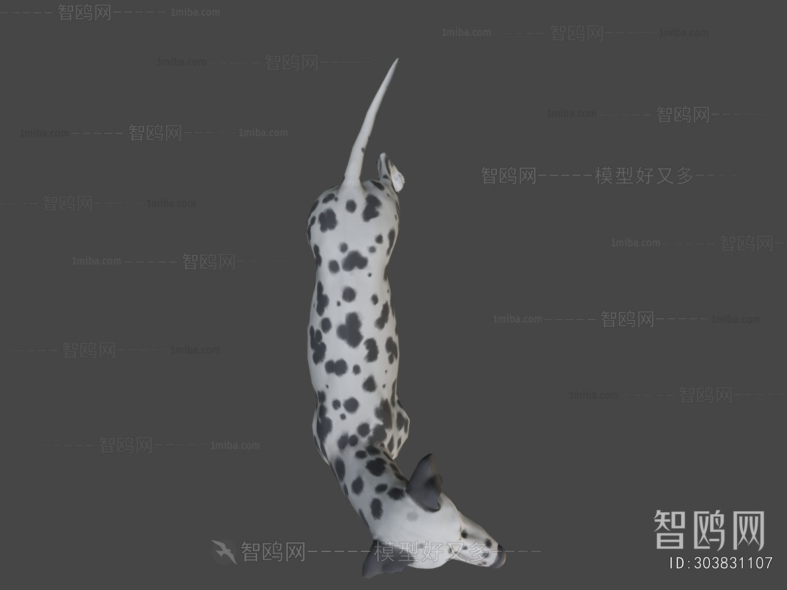 Modern Animal Dog
