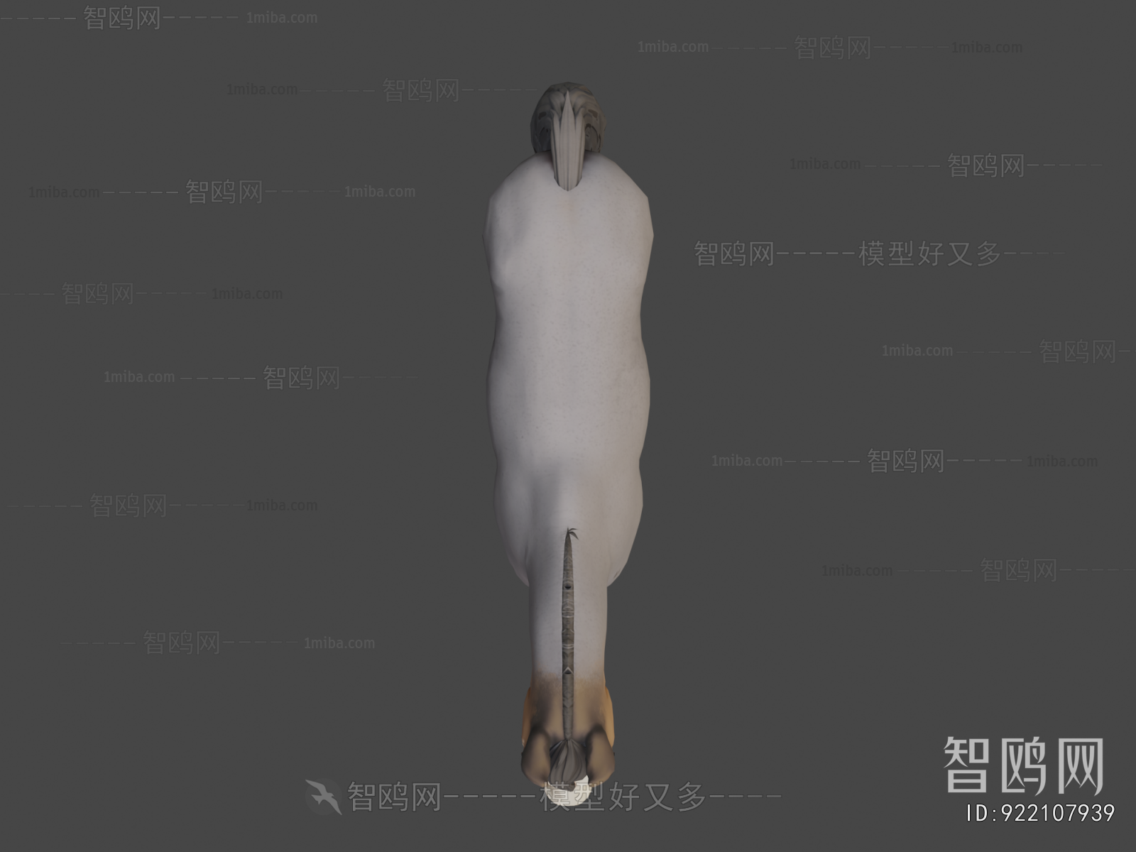 Modern Animal
