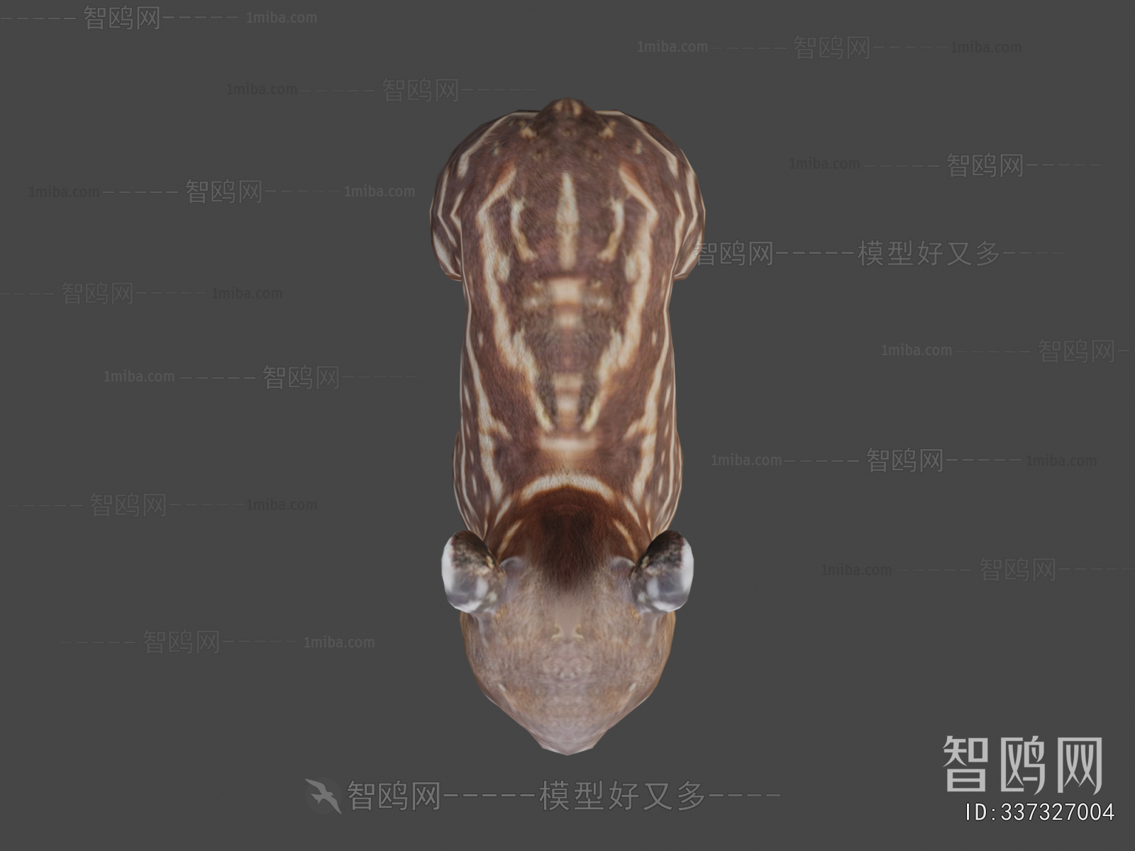 Modern Animal
