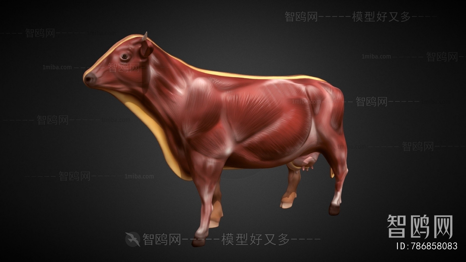 Modern Animal Dog