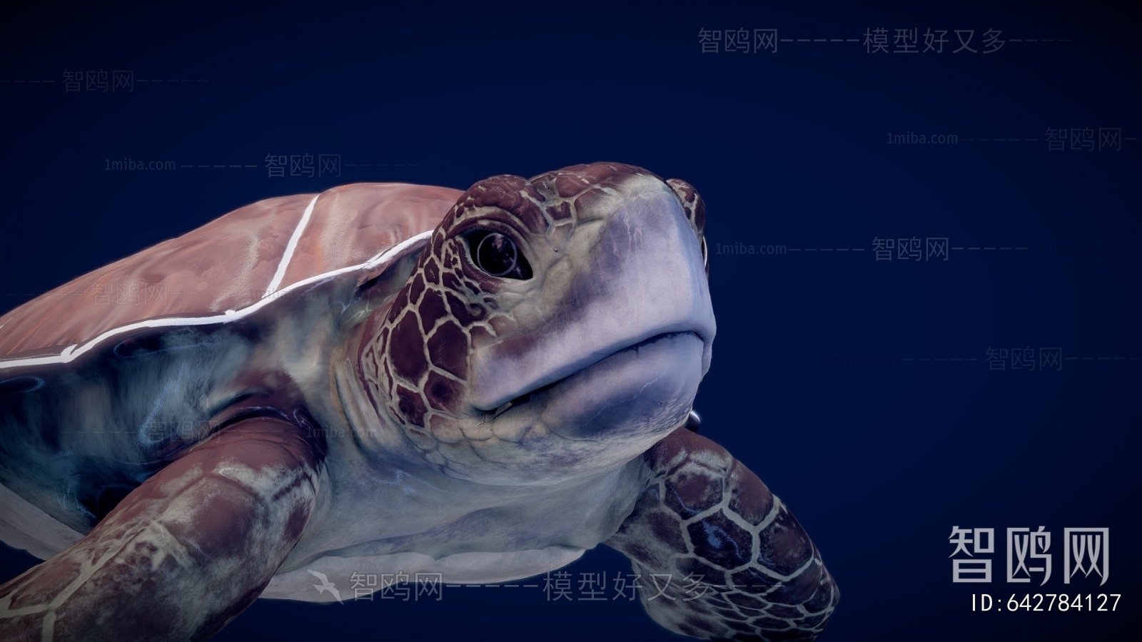 Modern Aquatic Animals