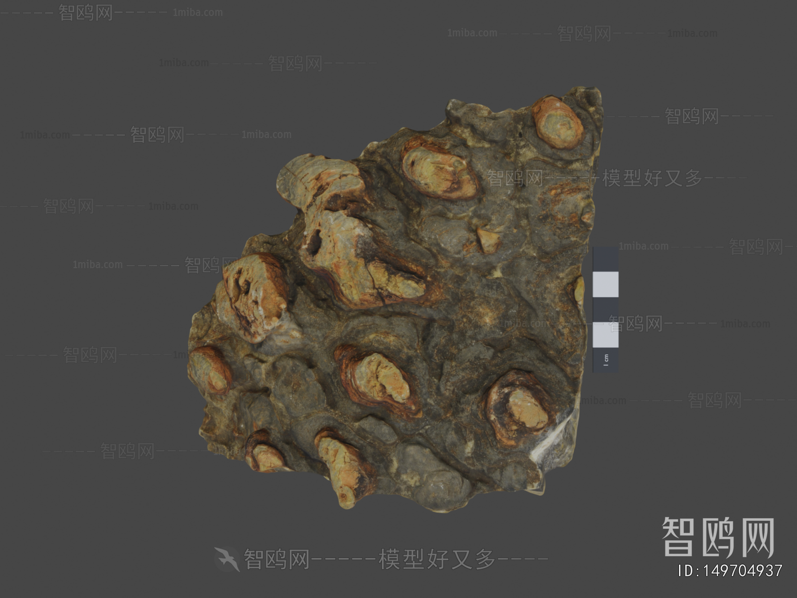 Modern Stone
