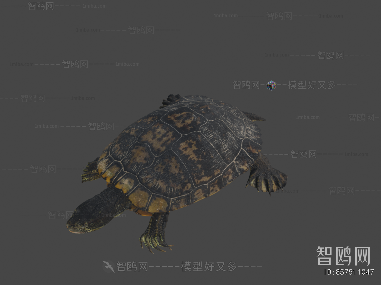 Modern Reptile