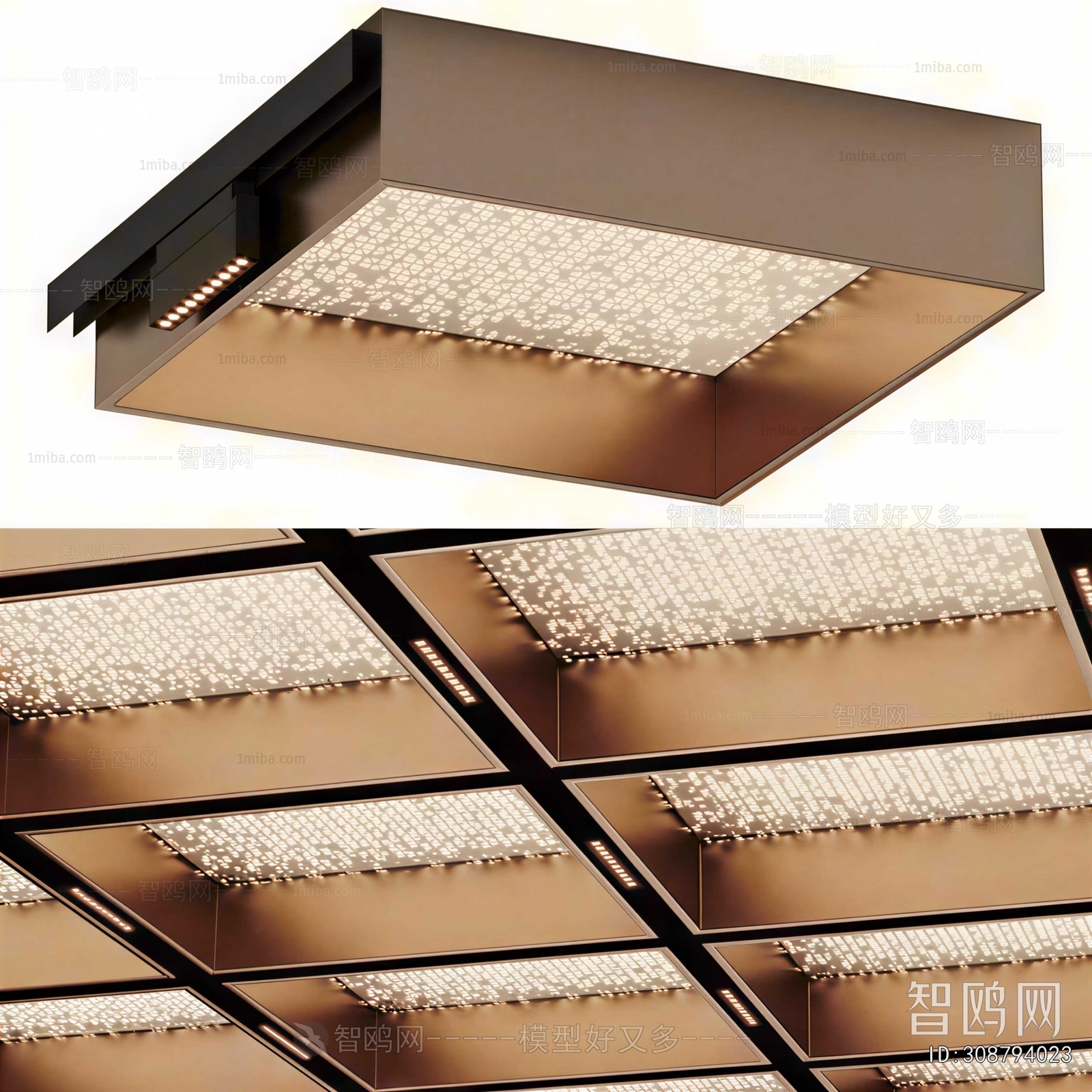Modern Ceiling Ceiling Lamp