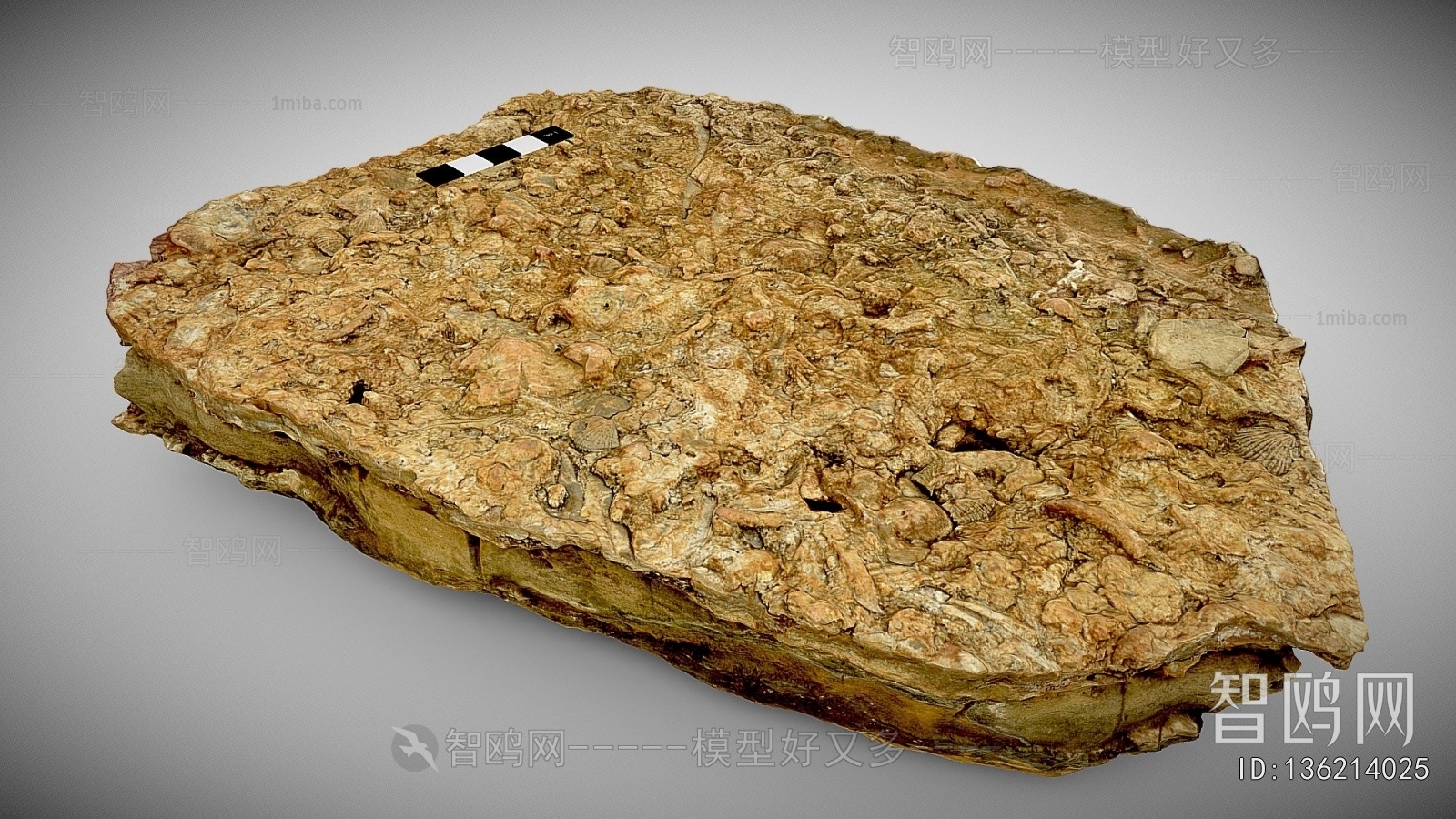 Modern Stone