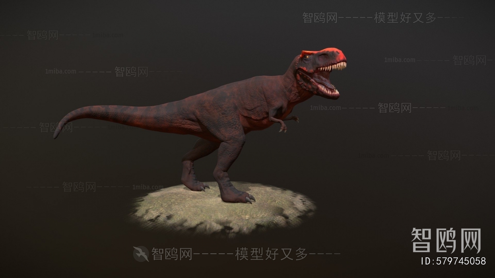 Modern Animal