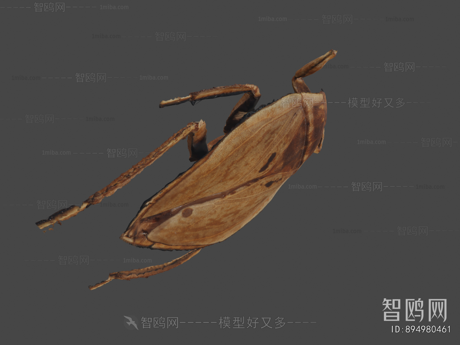 Modern Animal