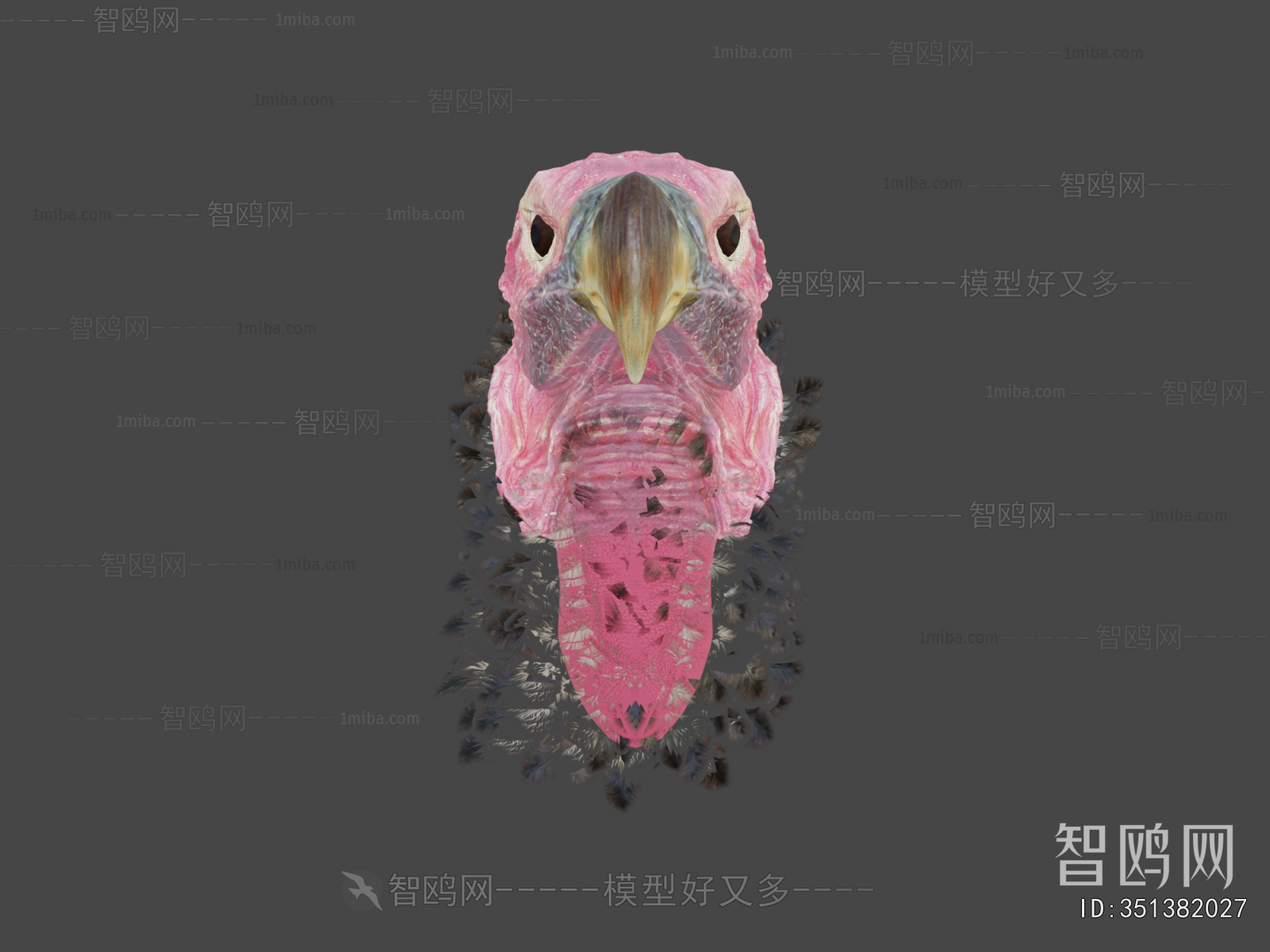 Modern Animal